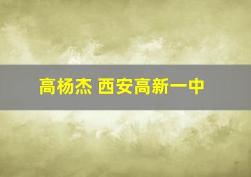 高杨杰 西安高新一中